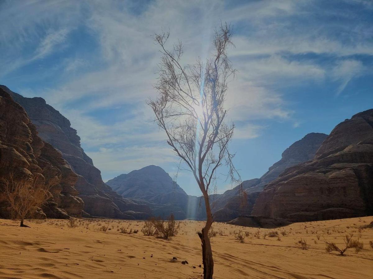 Wadi Rum Oscar Camp מראה חיצוני תמונה
