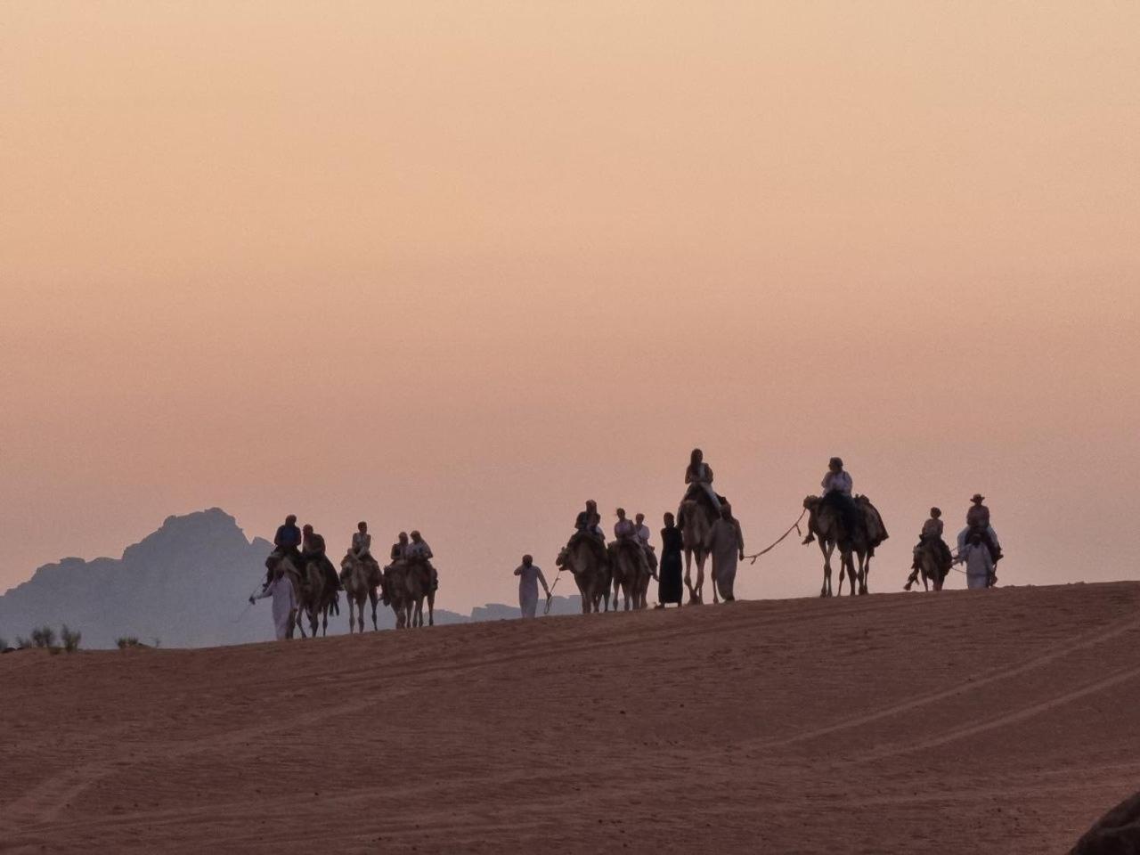 Wadi Rum Oscar Camp מראה חיצוני תמונה